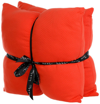 Thumbnail 2: Bright Coral