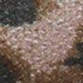 Thumbnail 8: Brown