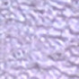 Thumbnail 8: Blowfish Malibu Blowfish Malibu Toddler Girls Vice-B-T Sneaker 