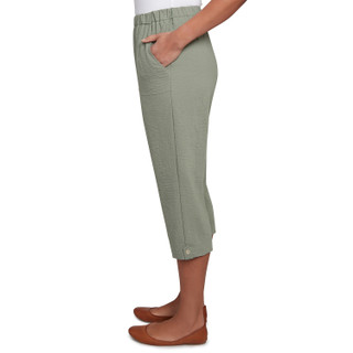 Thumbnail 3: Alfred Dunner Alfred Dunner Petite Button Tab Capris 