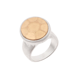 Thumbnail 1: SILVER/GOLD