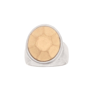 Thumbnail 2: SILVER/GOLD
