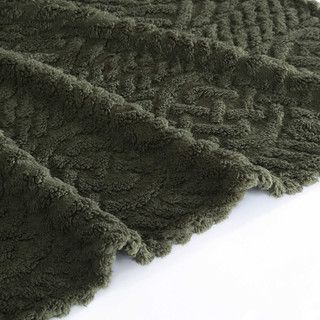 Thumbnail 5: Fern Green