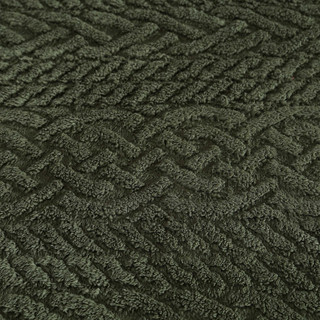 Thumbnail 4: Fern Green