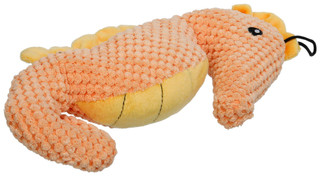 Thumbnail 2: Orange