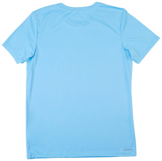 Thumbnail 2: BLUE