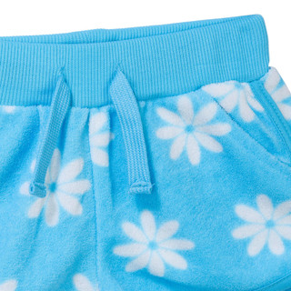Thumbnail 4: BLUE DAISY