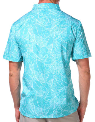 Thumbnail 3: TEAL