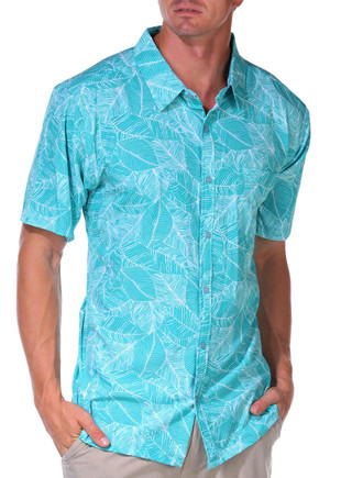 Thumbnail 4: TEAL