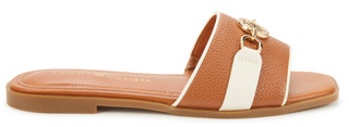 Thumbnail 3: Brown