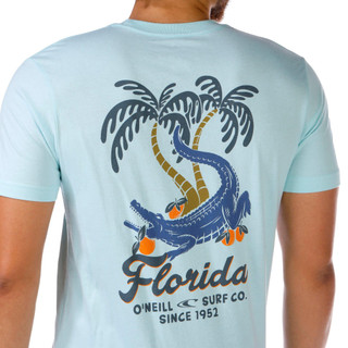 Thumbnail 2: TURQUOISE