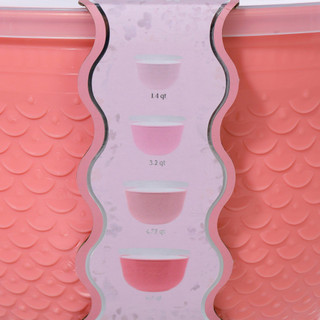 Thumbnail 4: PINK