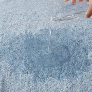 Thumbnail 4: Light Blue