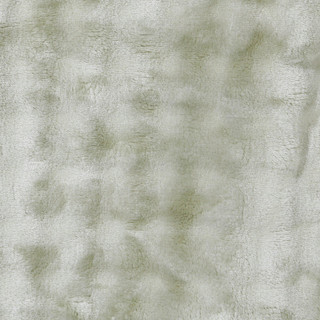 Thumbnail 4: SAGE