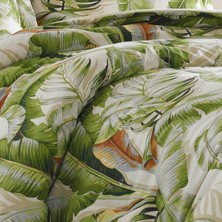Thumbnail 26: TOMMY BAHAMA Tommy Bahama Palmiers Comforter Set 