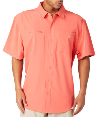 Thumbnail 1: SPICED CORAL