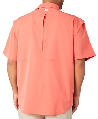 Thumbnail 2: SPICED CORAL