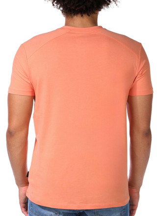 Thumbnail 3: APRICOT