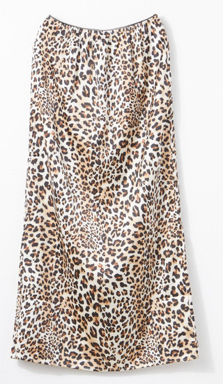 Thumbnail 1: LEOPARD