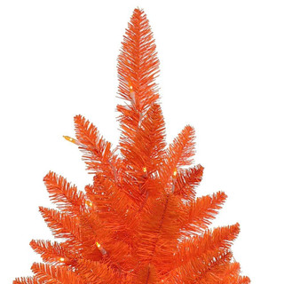 Thumbnail 5: Orange