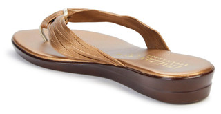 Thumbnail 2: Brown