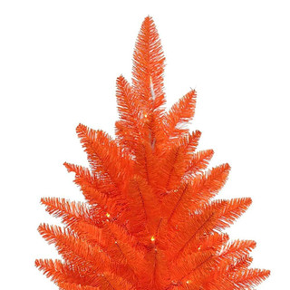 Thumbnail 4: Orange