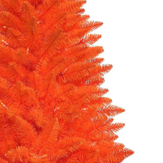 Thumbnail 3: Orange