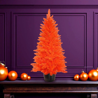 Thumbnail 6: Orange