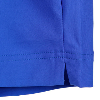 Thumbnail 4: BLUE