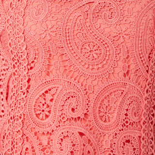 Thumbnail 3: CORAL