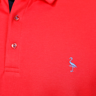 Thumbnail 3: TAILORBYRD Tailorbyrd Mens Short Sleeve Solid Modal Polo Shirt 
