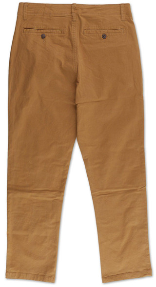 Thumbnail 2: Camel