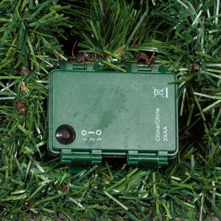 Thumbnail 5: Green