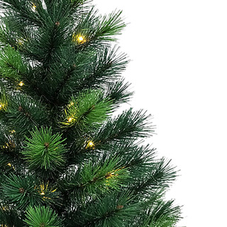 Thumbnail 6: Kurt Adler Kurt Adler 2.5-Foot Pre-Lit Miniature Pine Tree 