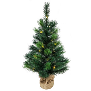 Thumbnail 10: Kurt Adler Kurt Adler 2.5-Foot Pre-Lit Miniature Pine Tree 