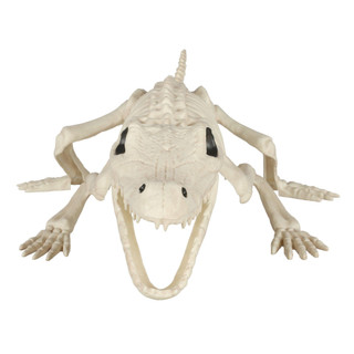 Thumbnail 2: BONE