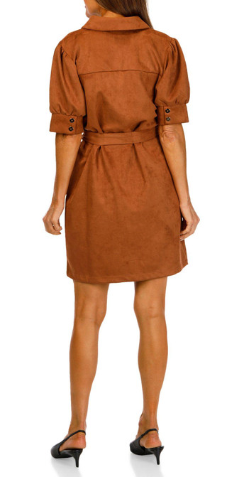 Thumbnail 2: Brown