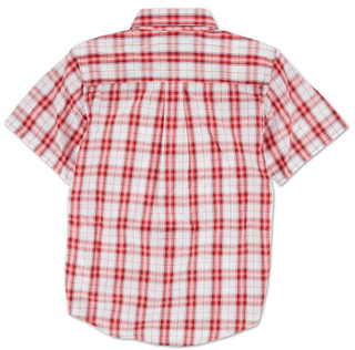 Thumbnail 2: Red