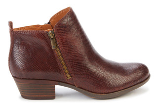 Thumbnail 3: Brown