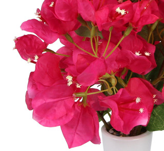 Thumbnail 2: Supreme Silk 23 in Decorative Bougainvillea Plant 