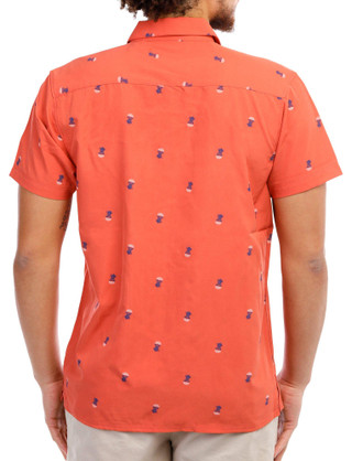 Thumbnail 2: Coral