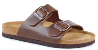 Thumbnail 1: Brown
