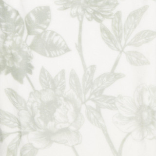 Thumbnail 3: SAGE