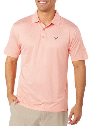 Thumbnail 1: CORAL CHIC