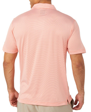 Thumbnail 2: CORAL CHIC