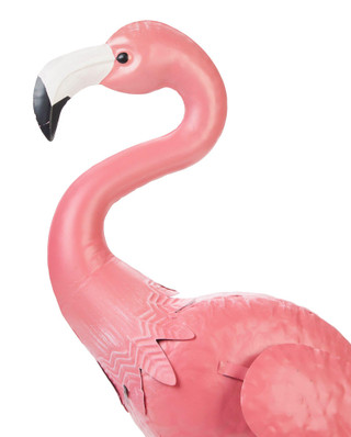 Thumbnail 4: PINK