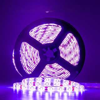 Thumbnail 2: Purple Multi