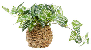 Thumbnail 1: Green Mult