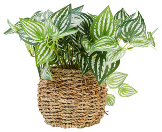 Thumbnail 2: Green Mult