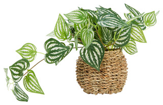 Thumbnail 1: Green Mult